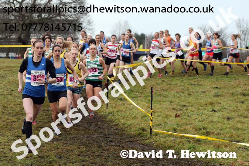Senior womens North Eastern Cross Country, Aykley Heads, Durham. Photo: David T. Hewitson/Sports for All Pics
